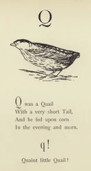 De letter Q